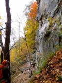 Rumney
