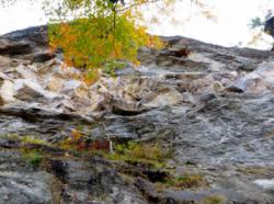 Rumney