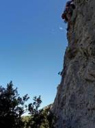 Cornerette