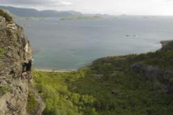 Røyrvika
