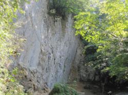 Retovje