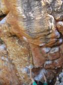 Rocklands (8 Day Rain)