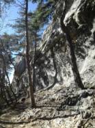 Vipavska Bela