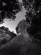 Buoux