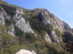 Vipava