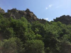 Vue générale / Le Rivalet