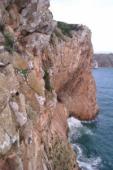 Sagres (Corgas)
