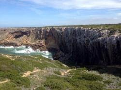 Sagres (Armação Nova)