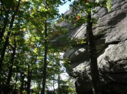 Pickens Nose