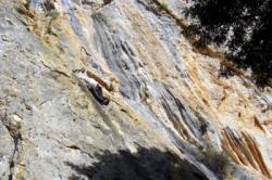 La Muela (Algodonales)