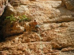Les Gorges du Tarn (Les Baumes Basses)