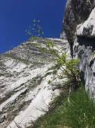 Montagne du Bouton