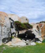 Pianotolli (Punta di Capineru)