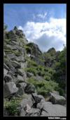 Clochers du petit Hohneck