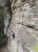 Red River Gorge (Lady Slipper - Global Village)