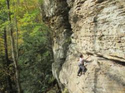 Red River Gorge (Lady Slipper - Global Village)