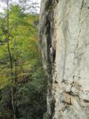 Red River Gorge (Lady Slipper - Global Village)
