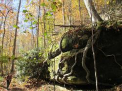 Red River Gorge (The Crossroads)