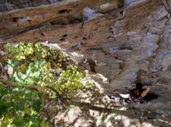 Red River Gorge (The Crossroads)