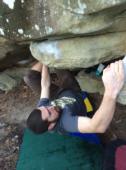 Horse Pens 40