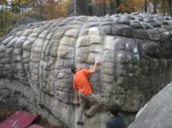 Horse Pens 40