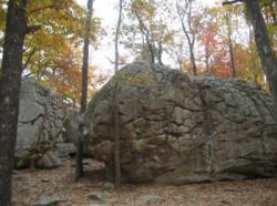 Horse Pens 40