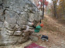 Horse Pens 40