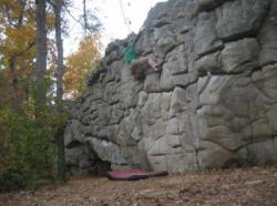 Horse Pens 40