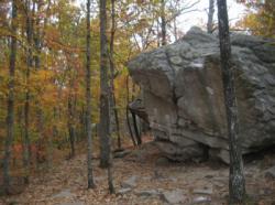 Horse Pens 40