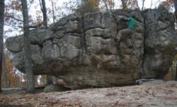 Horse Pens 40