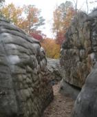 Horse Pens 40