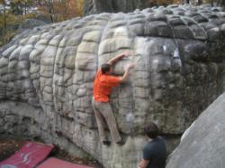 Horse Pens 40