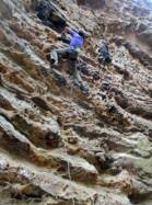 Red River Gorge (Curbside)