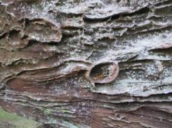Red River Gorge (The Shire)