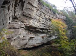 Red River Gorge  (Miller Fork - Corner Pocket)