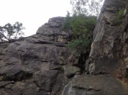 Morgenbachtal