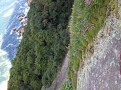 Pão de Açúcar