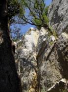 Florian  / Gourdon