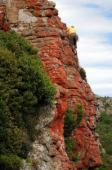 Lyttelton Rock