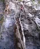 Lola  dans Jumpin' at the woodside 5c  / Khao Chin Lae 2