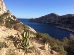 Les Calanques - Morgiou (L'Abricotier)