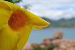 Nha Trang