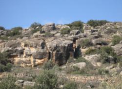 El Cogul