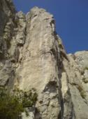 Tourris