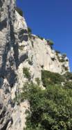 Coudon (Sud)