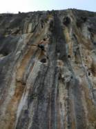 Póo de Cabrales