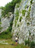 Bohinjska Bela