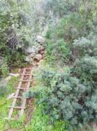 Chemin d'accès aux voies / Kardamyli