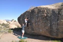 The Druid Stones