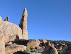 The Druid Stones